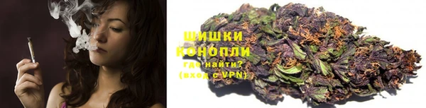 крисы Балахна