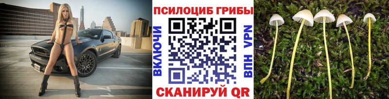 Галлюциногенные грибы прущие грибы Новоуральск